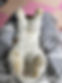 WhatsApp Image 2021-10-30 at 3.43.32 PM.jpeg