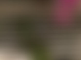 Don't Give Up - Just Grow! - by Lisa Thomas