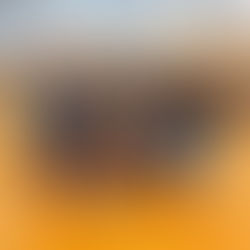 Traumstart in die Bezirksliga für die Volleyballerinnen