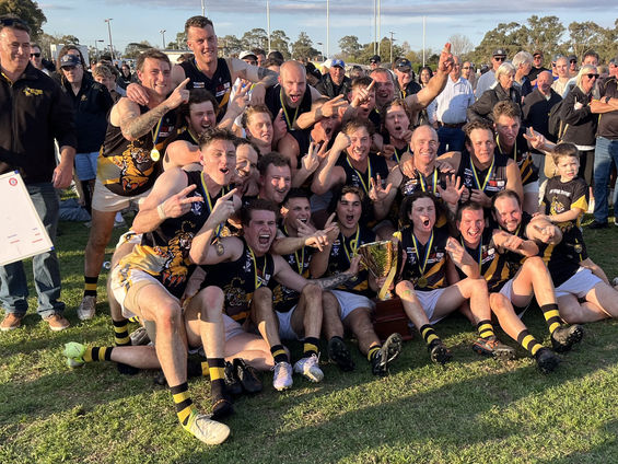 EGFNL Football Premiers - History