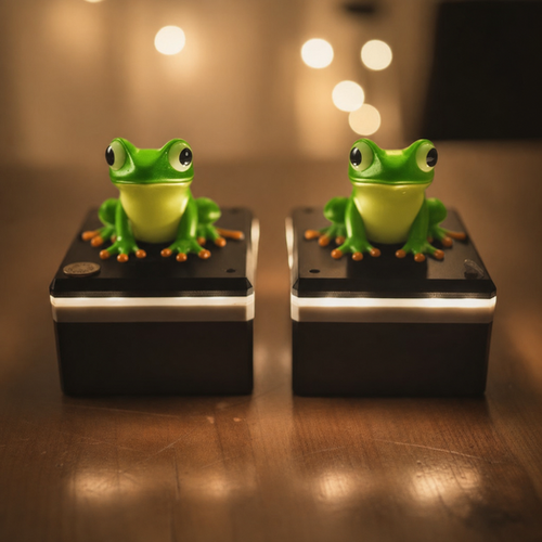 KaroPal Green Tree Frog – Standard Starter Kit (2‑Pack) | KaroPal