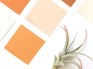 Choosing Color for Your Brand