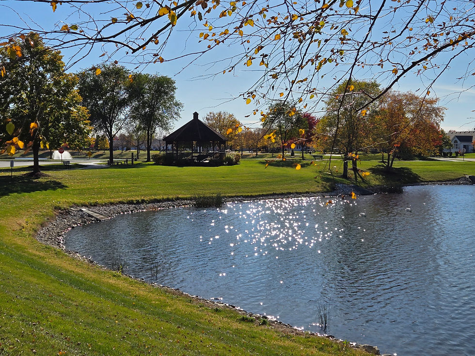 lake with gazebo.jpg