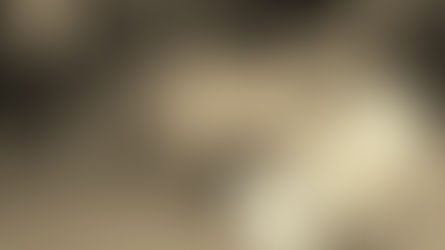 Le Vintage : Plus qu'une tendance, un art de vivre