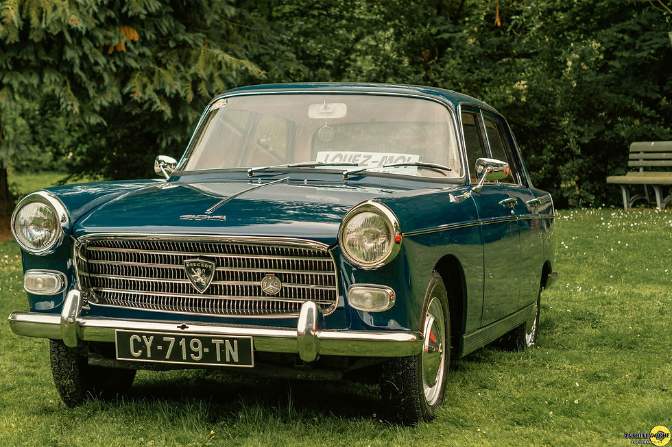 475462076_1137360778086730_5633640894340731772_n