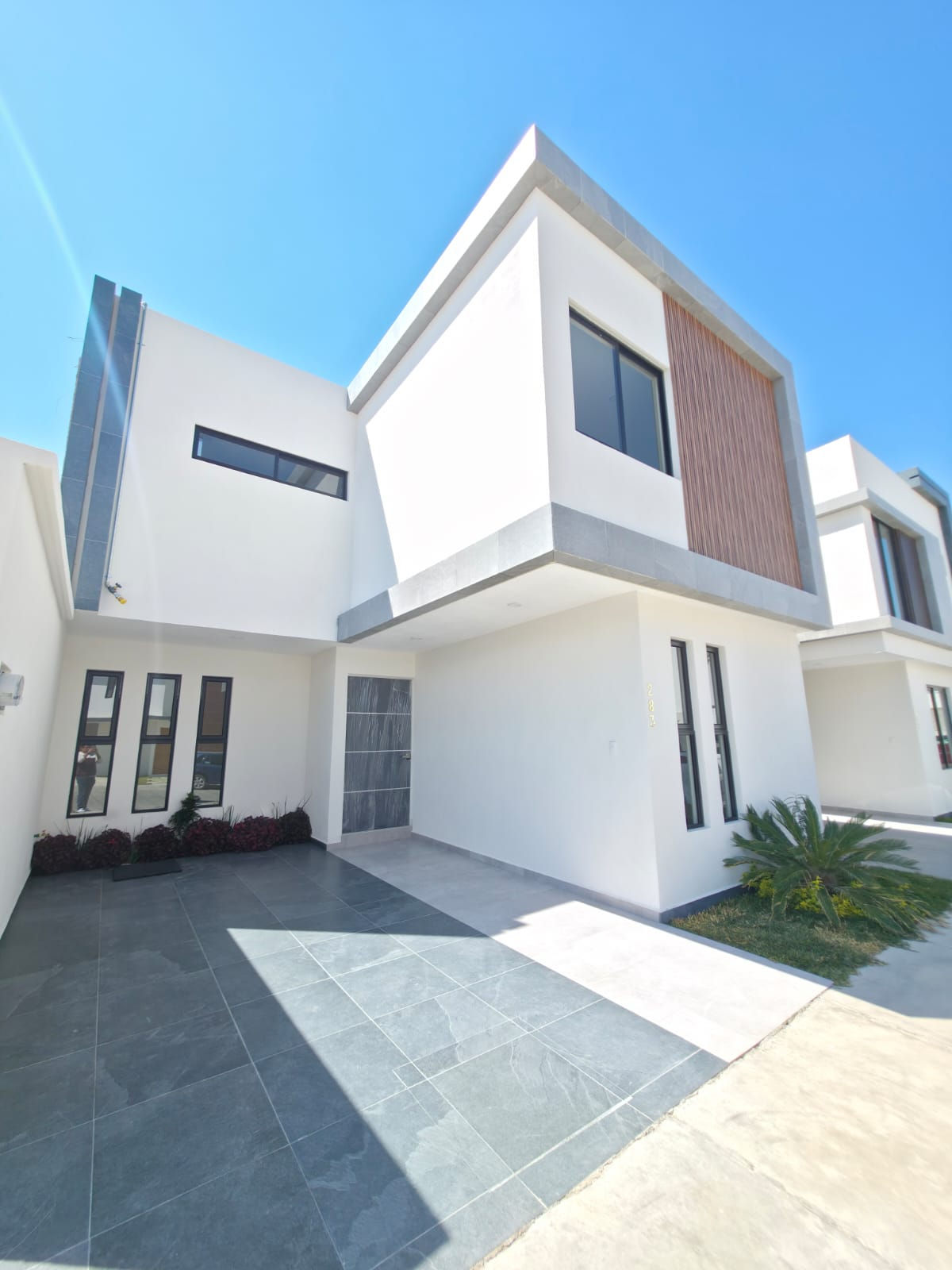 5 Bosques: Modelo PACIFICO
