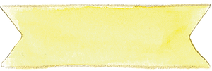 small yellow banner.png