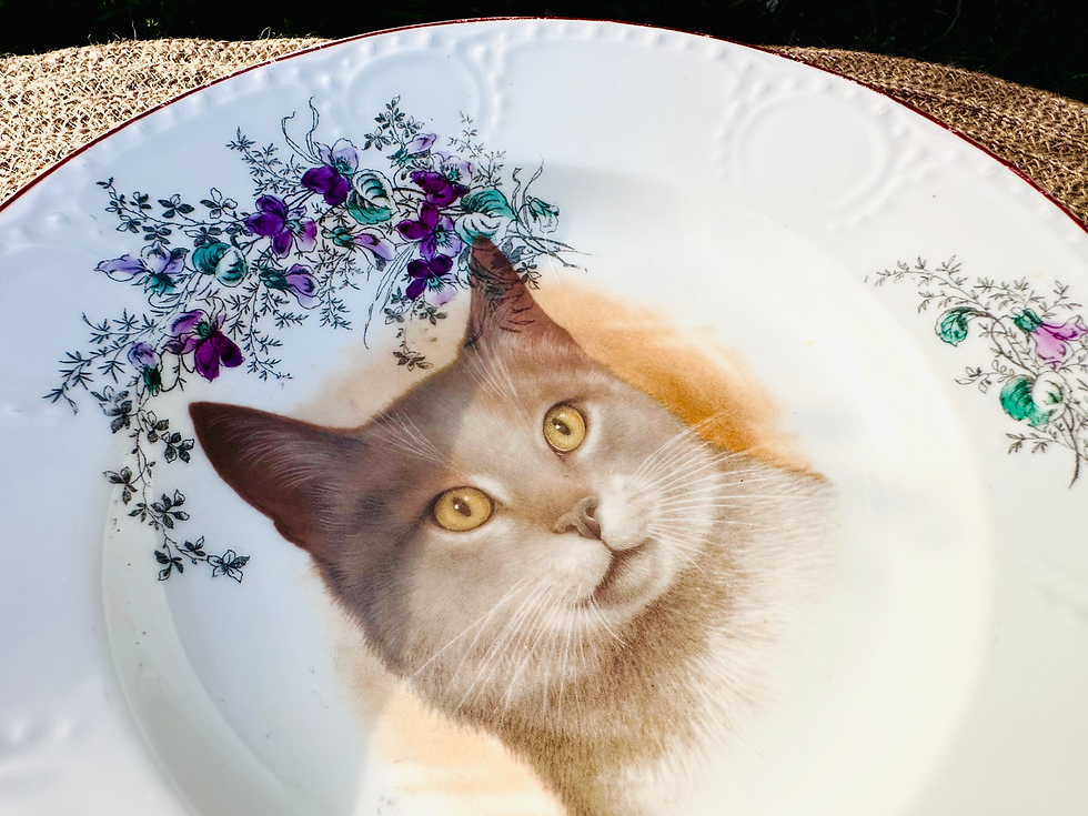 Miniature : Assiette chat rétro kitch