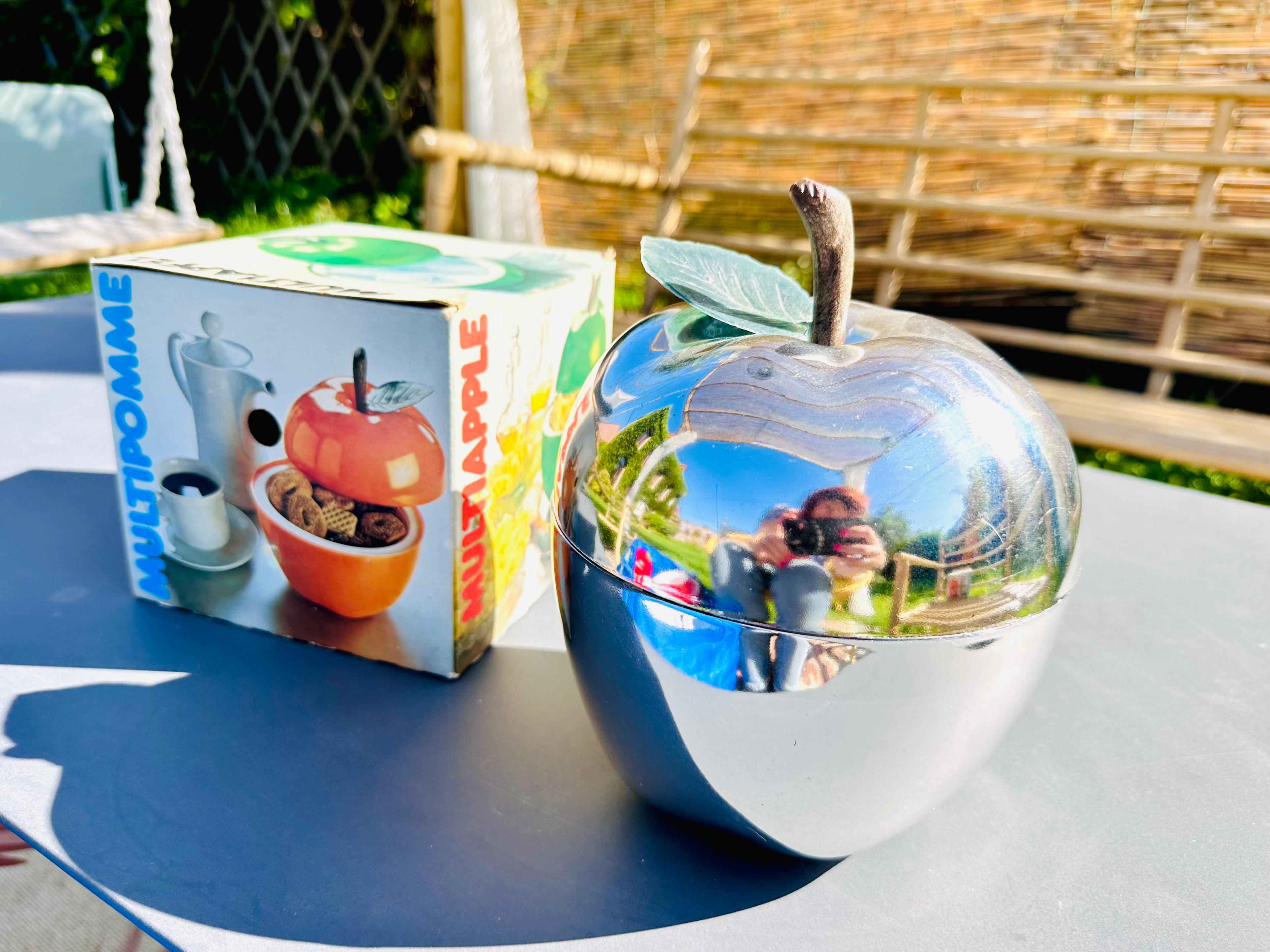 Pomme à glaçons argentée 🩶 #2