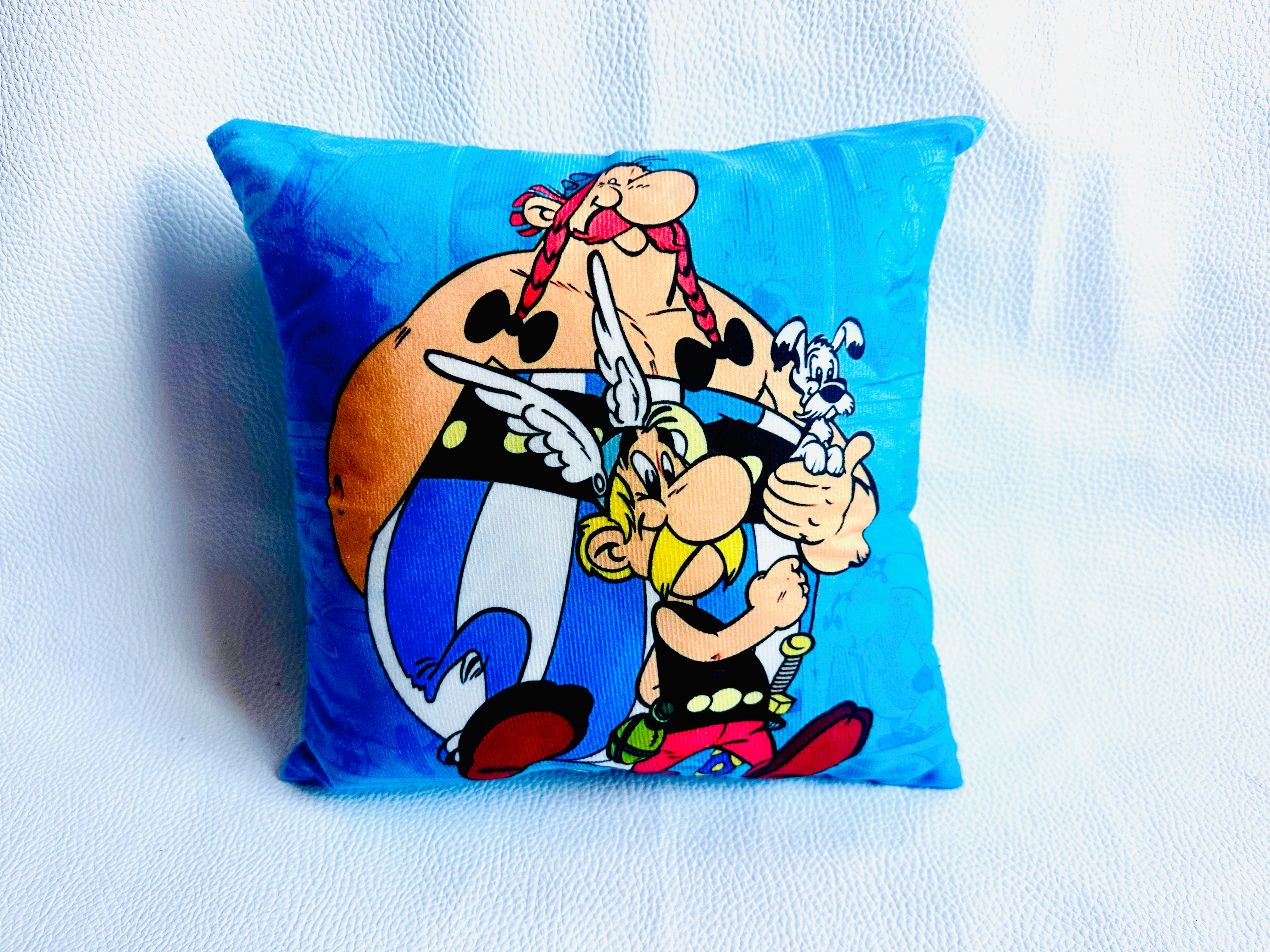 Coussin Astérix et Obélix #1