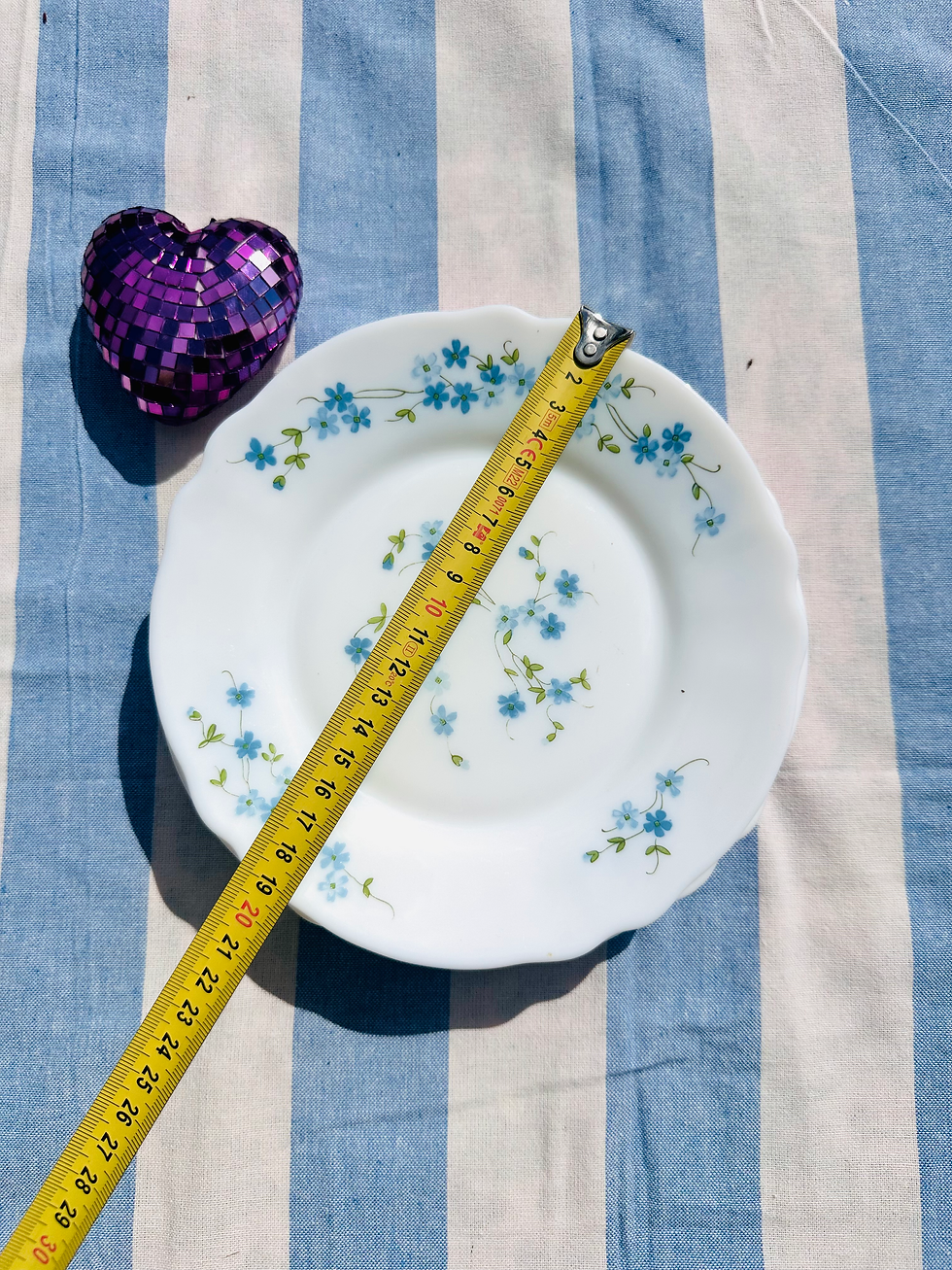 Miniature : Assiettes dessert Arcopal Veronica Myosotis 