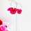 Miniature : Boucles d'oreilles Papillons #2