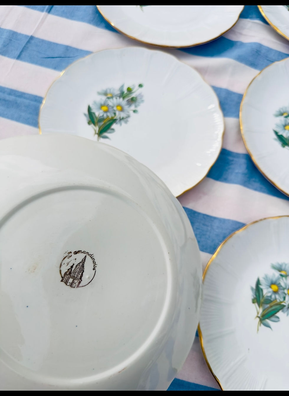 Miniature : Assiettes plates marguerite L’Amandinoise