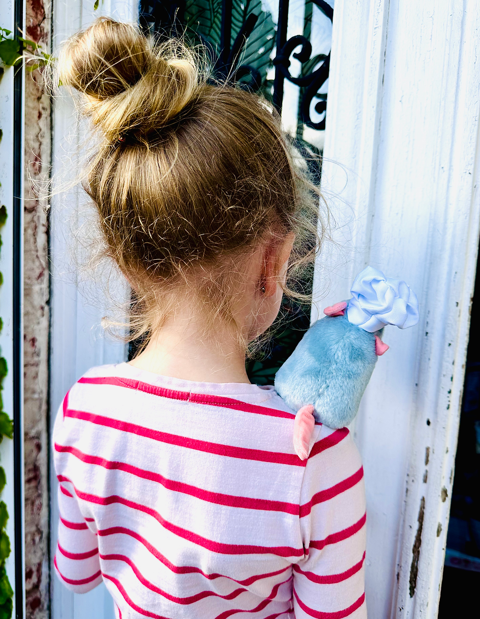 Miniature : Peluche aimantée Remy Ratatouille 