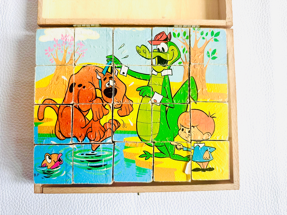 Miniature : Jeu de 20 cubes Scooby Doo