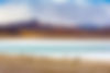 camels-grazing-shores-tuyajto-lagoon-south-american.jpg
