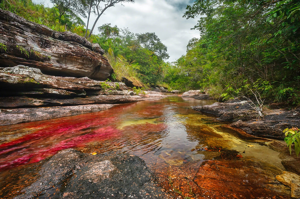 caño cristales
