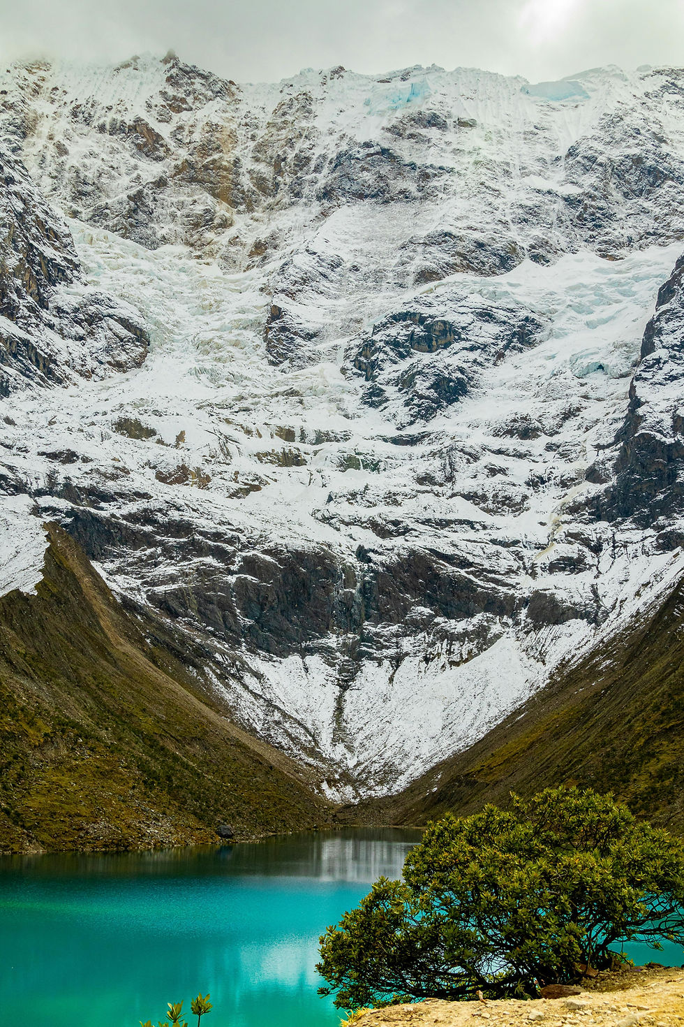 pexels-joelalencar-27115377.jpg