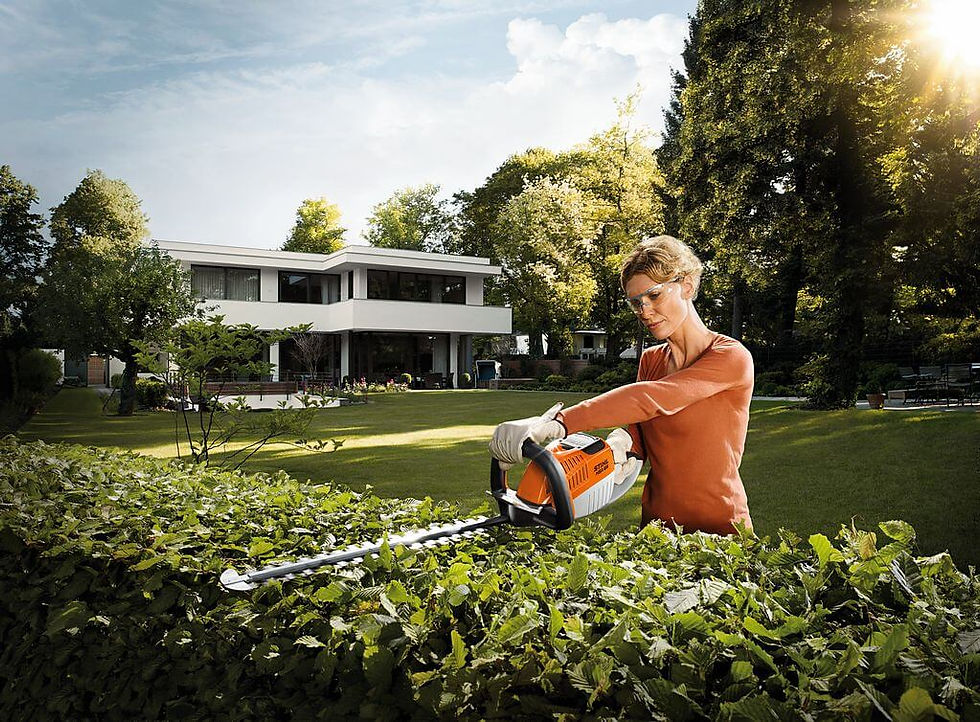 STIHL HSA 66 CORDLESS HEDGE TRIMMER 500MM