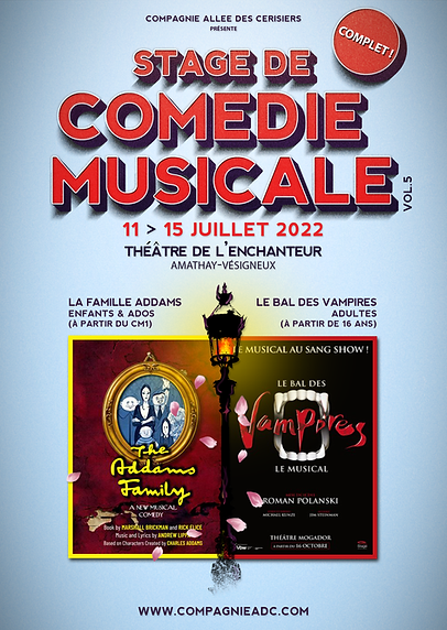 Affiche Stage 5.png