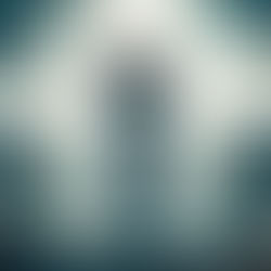 A Magisterium of YOU: Private Judgment and the Root of Biblicism