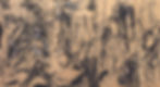 CONTEXTUAL 1 Cristea- Comp Image 1_ - Ch