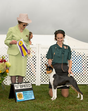 Zoro BOB ME Regional Specialty .jpg