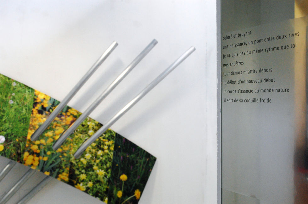 Printemps inquiet + poeme.jpg