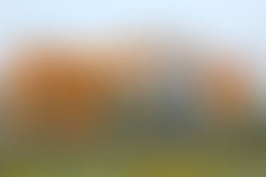 Unique NLU Courses Beyond BA LLB and BBA LLB