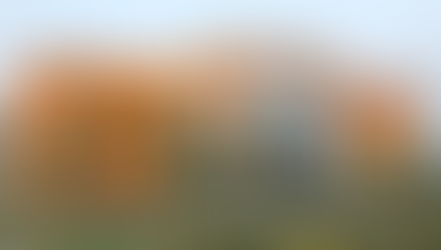 Unique NLU Courses Beyond BA LLB and BBA LLB