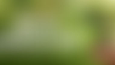 MBA in Agri Business Management