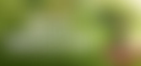 MBA in Agri Business Management