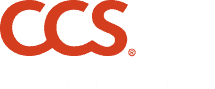 Custom Controls Logo.webp