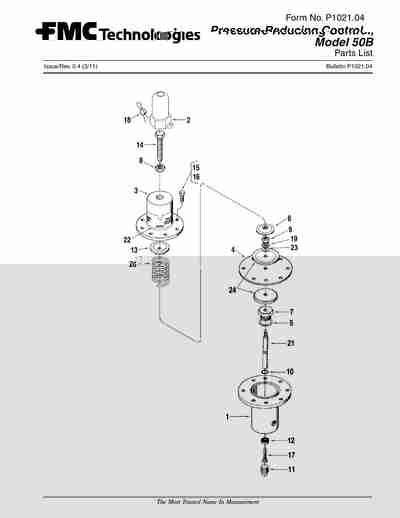 Smith Meter - Plug, 1/2" NPT, Buna-N - 529522-001