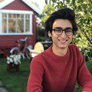 Samuel Rubin Original.jpeg