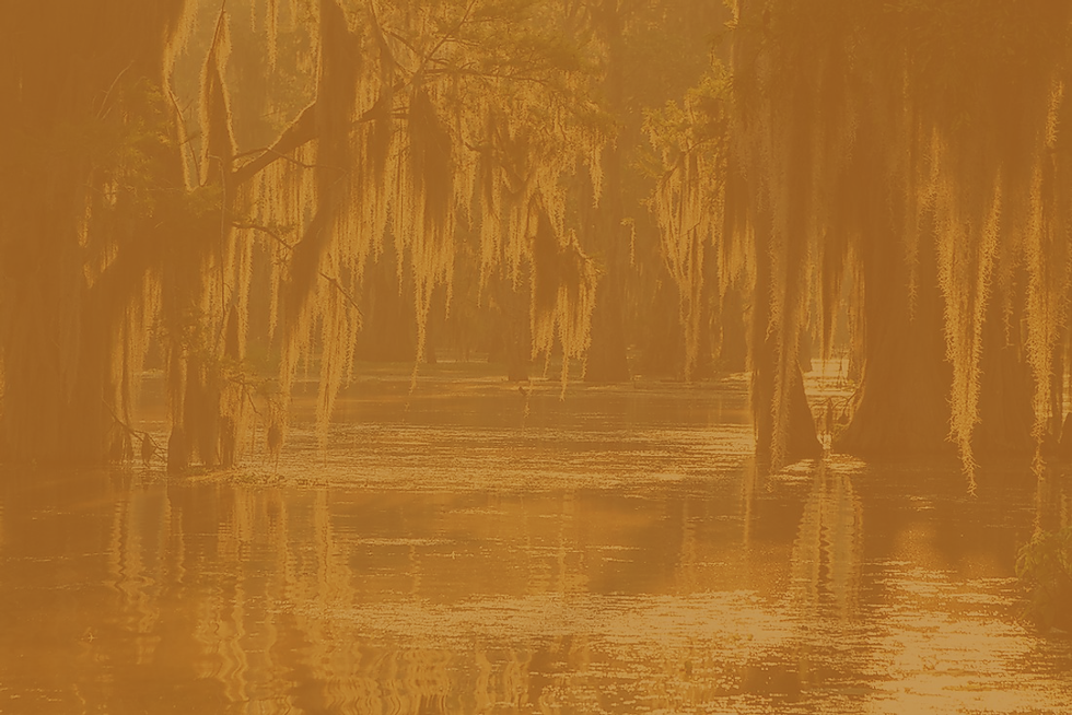 bayousepia.png