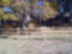 Three rail nail up fence