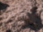 Close up of wood chips