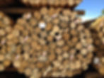 Split preserved treat rails close up