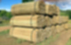 Split rails preserved treated