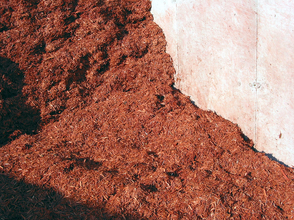 Marks-Miller Red