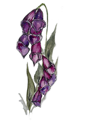 FECEA5B3-8773-44F2-803B-35BD0C89EFD5_edited.png