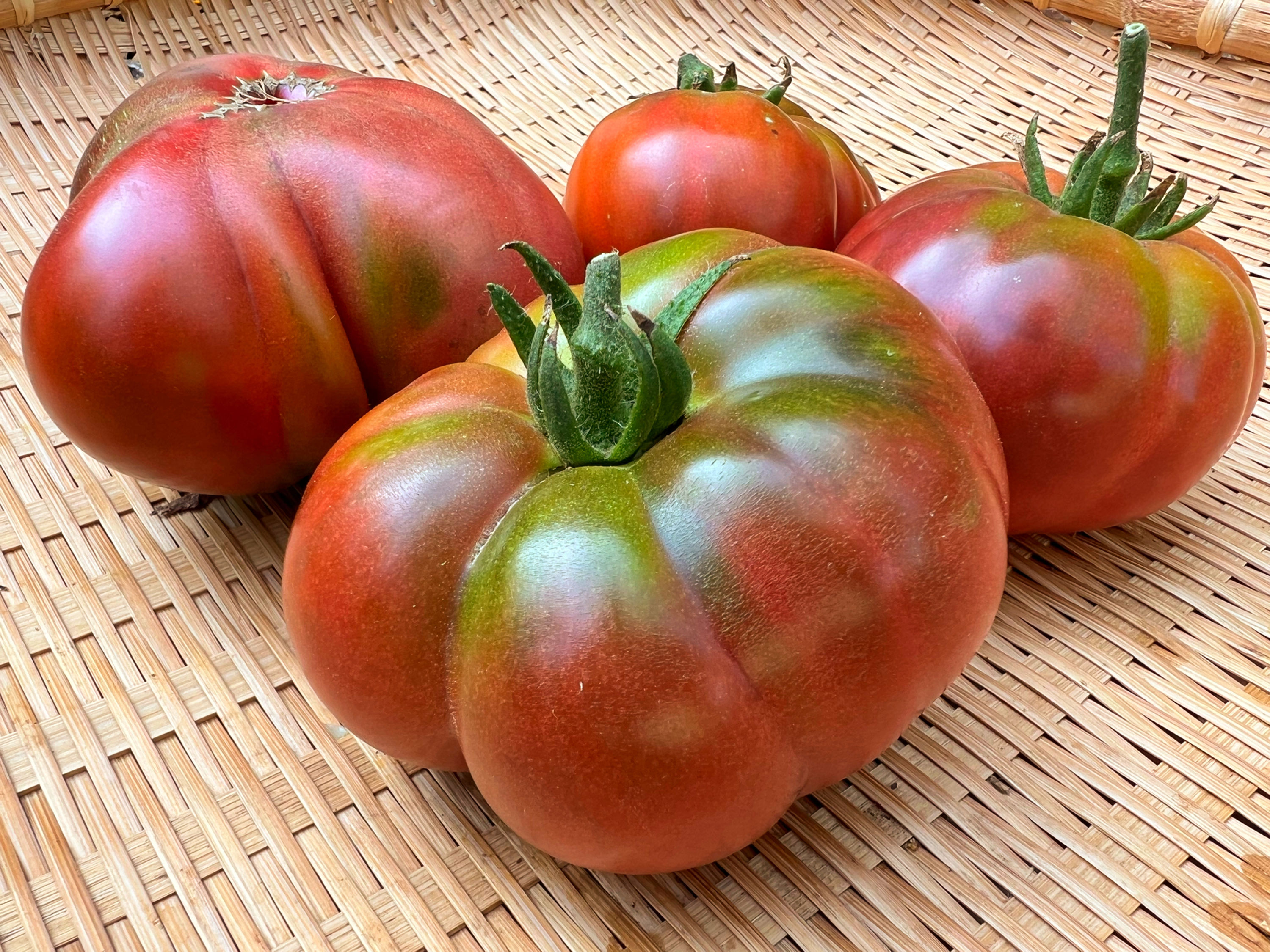 Tomato, Cherokee Purple