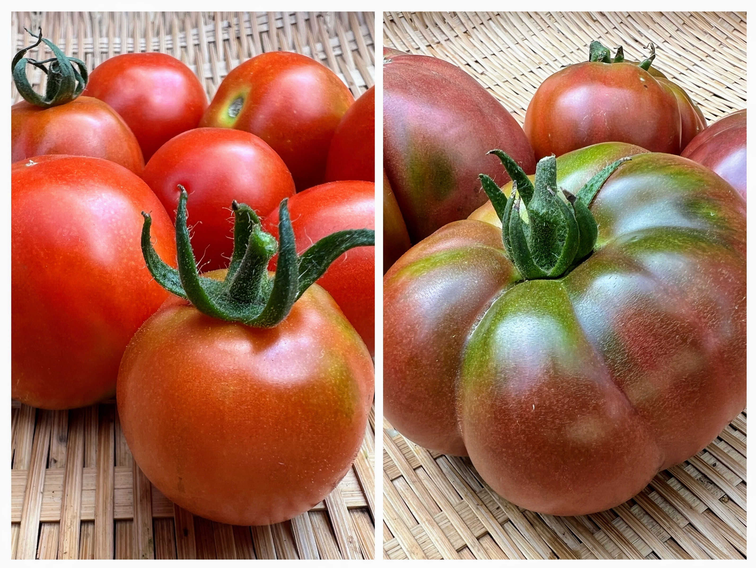Tomato, Mystery
