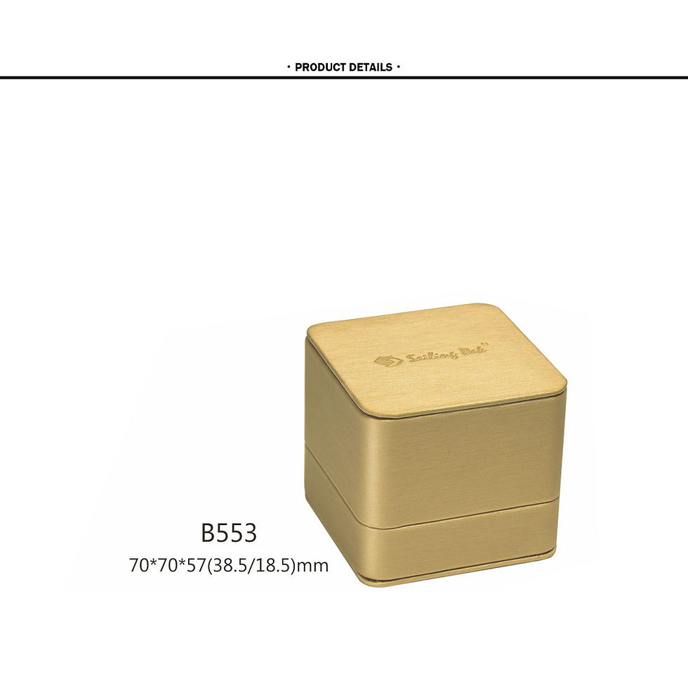 サムネイル： B55