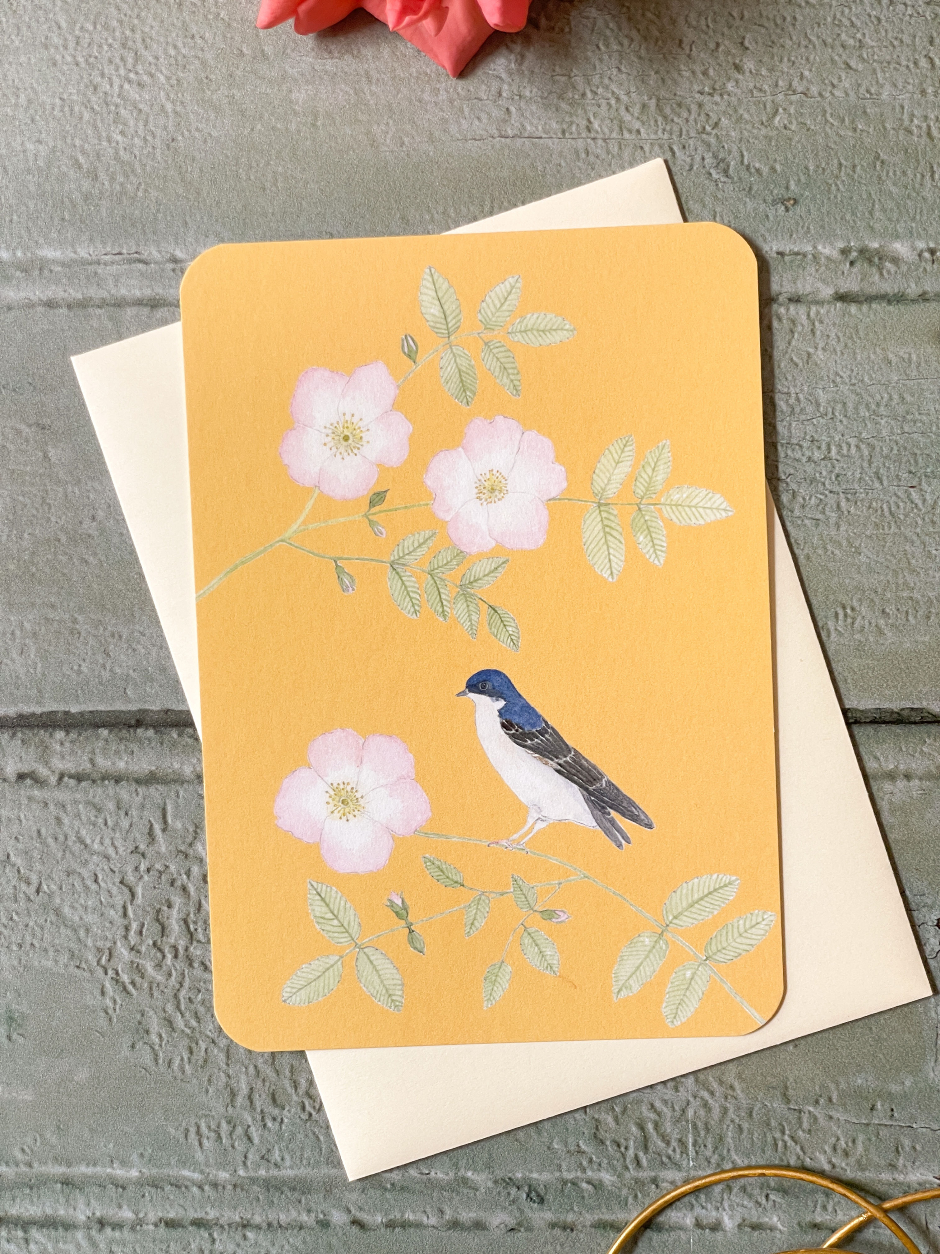 Carte postale aquarelle hirondelle de fenêtre sur fond jaune