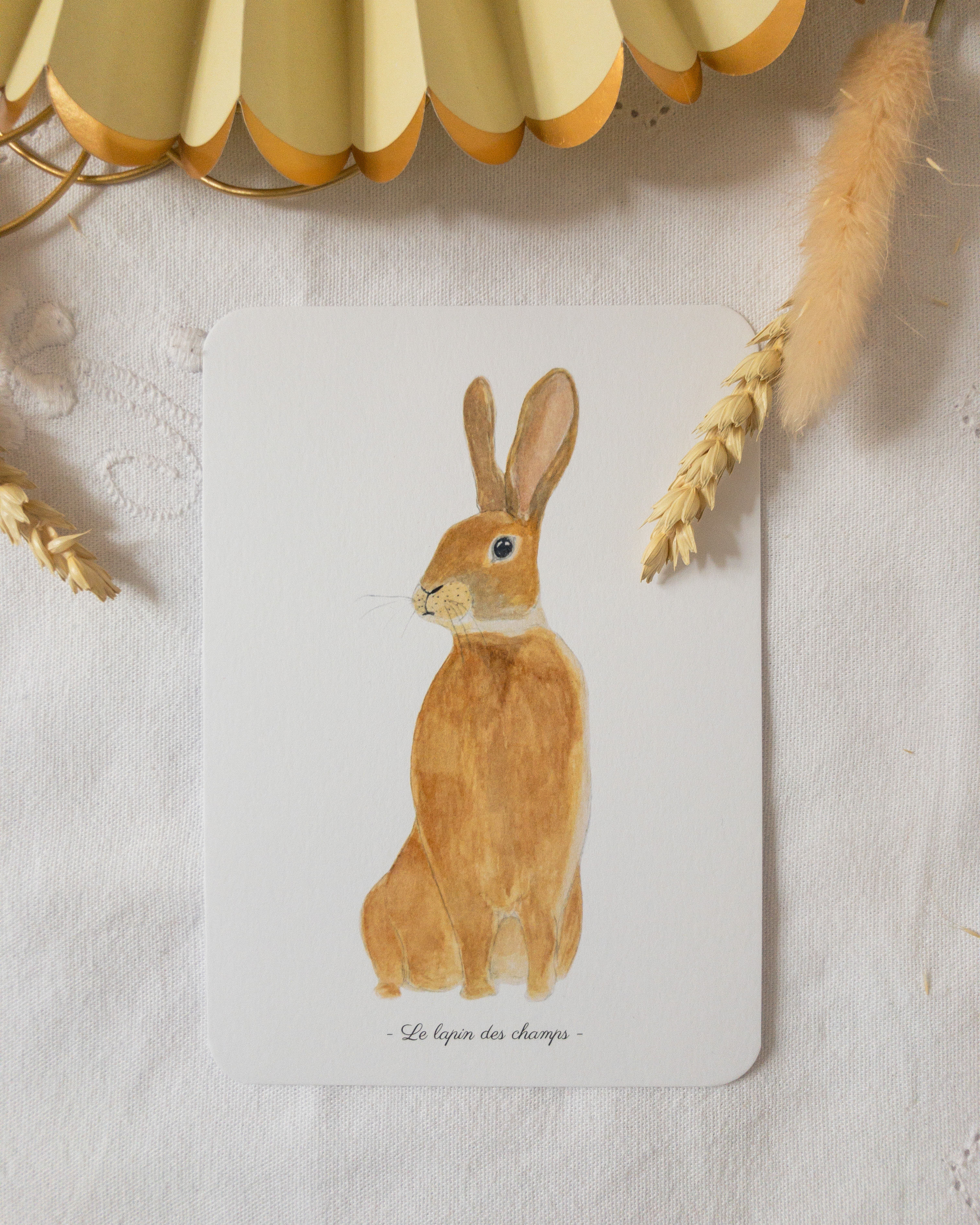 Carte postale A6 - Le lapin des champs