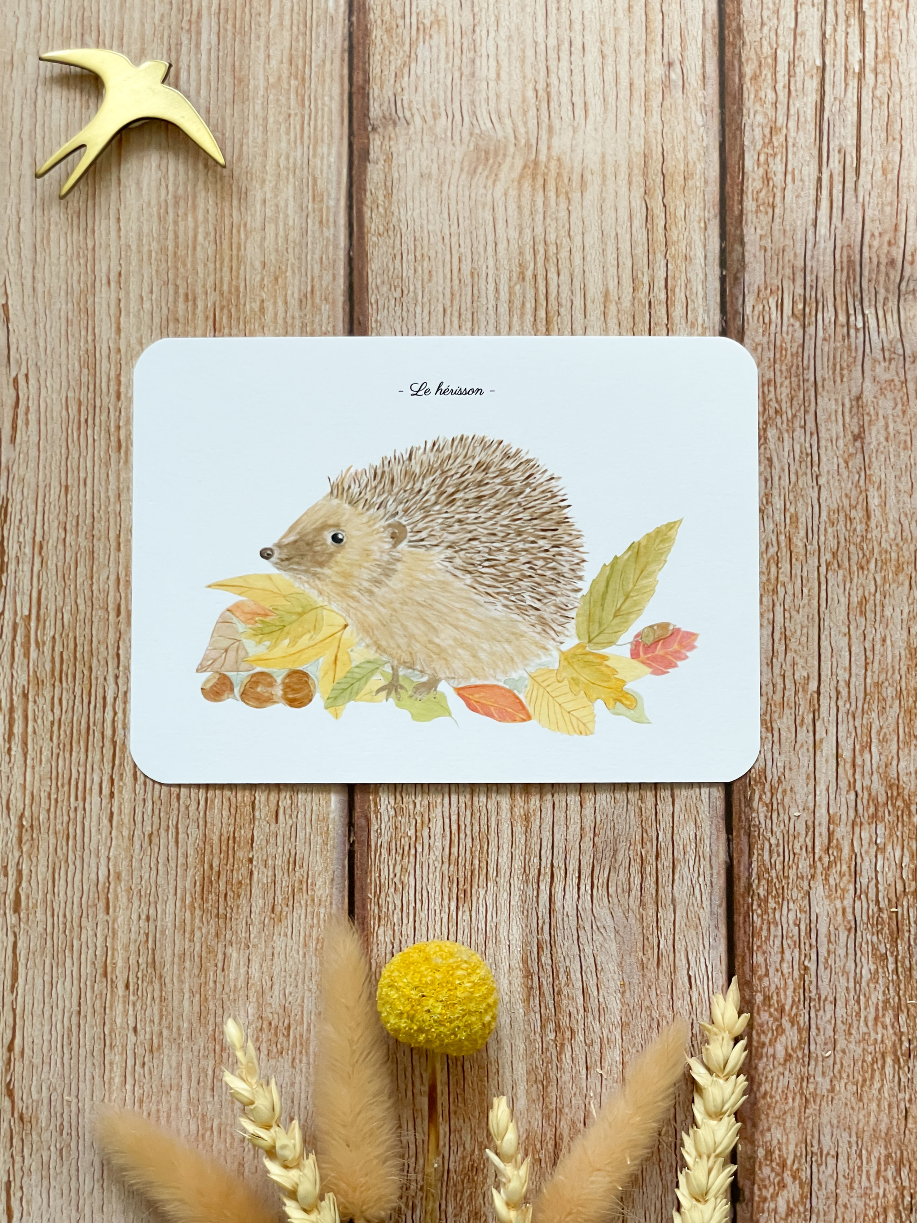 Carte postale A6 - Hérisson
