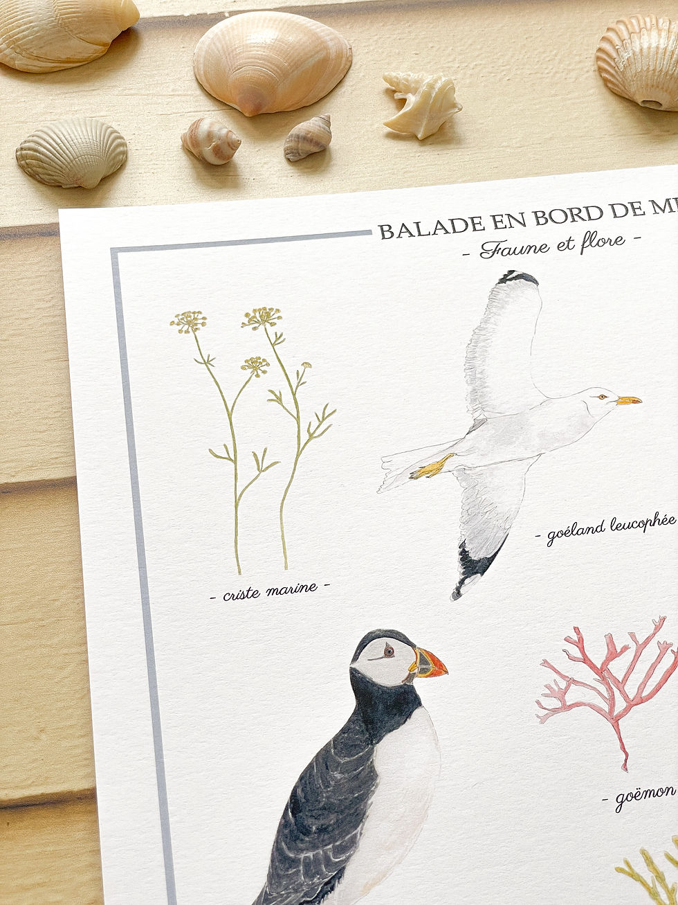 Miniature : Affiche "Balade en bord de mer" 30x40 cm