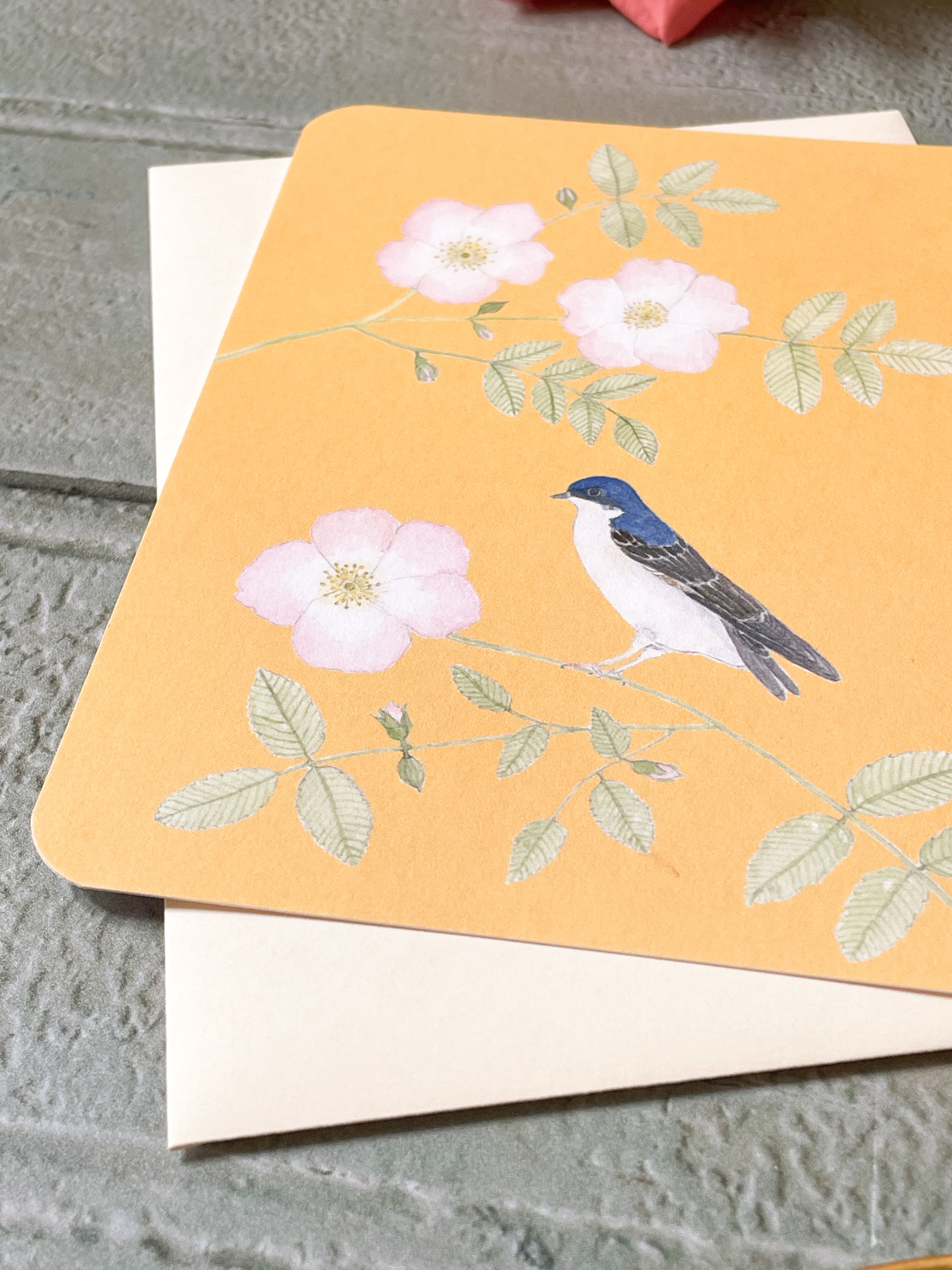 R/Carte postale hirondelle de fenêtre sur fond jaune